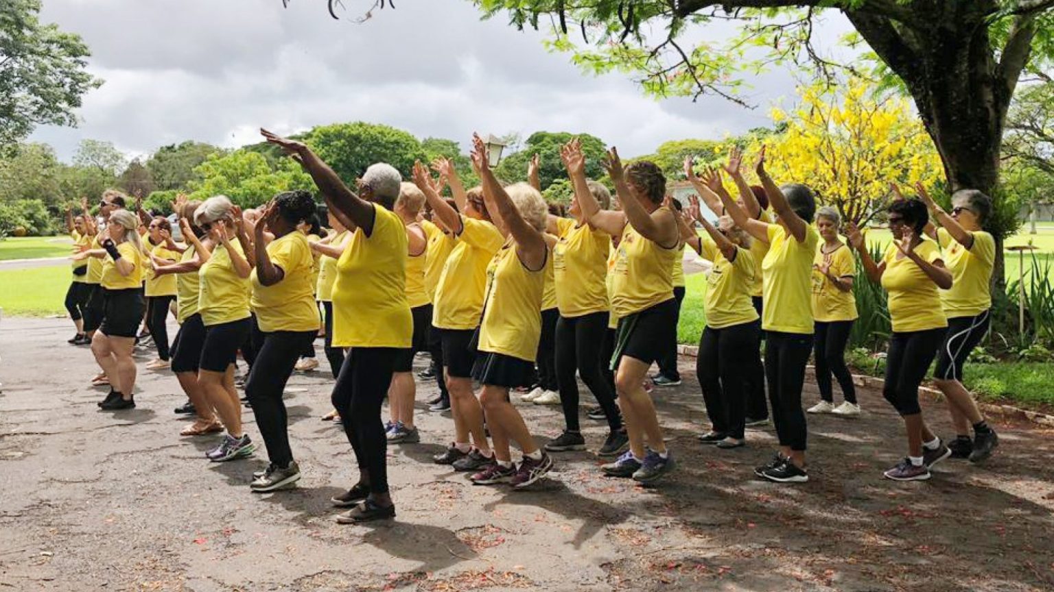 Gin Stica Da Melhor Idade Se Apresenta No Dia Do Idoso Portal Morada