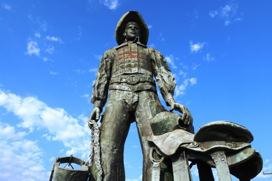 Ficheiro:Festa do Peão de Boiadeiro em Barretos.jpg – Wikipédia, a  enciclopédia livre