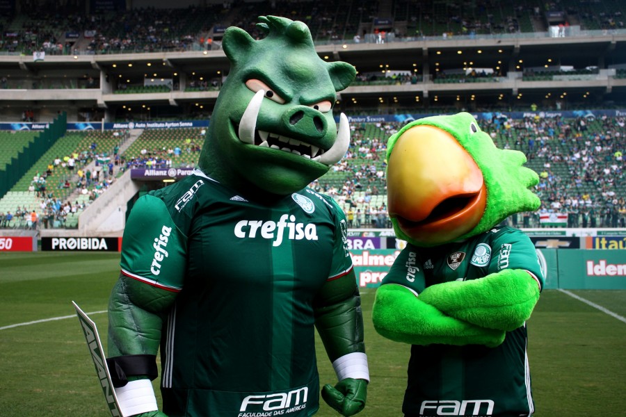 Palmeiras Oficializa Porco Como Mascote E Faz Apresenta O Torcida No Est Dio Portal Morada