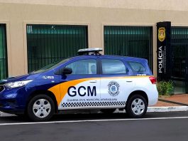 Imagem GCM